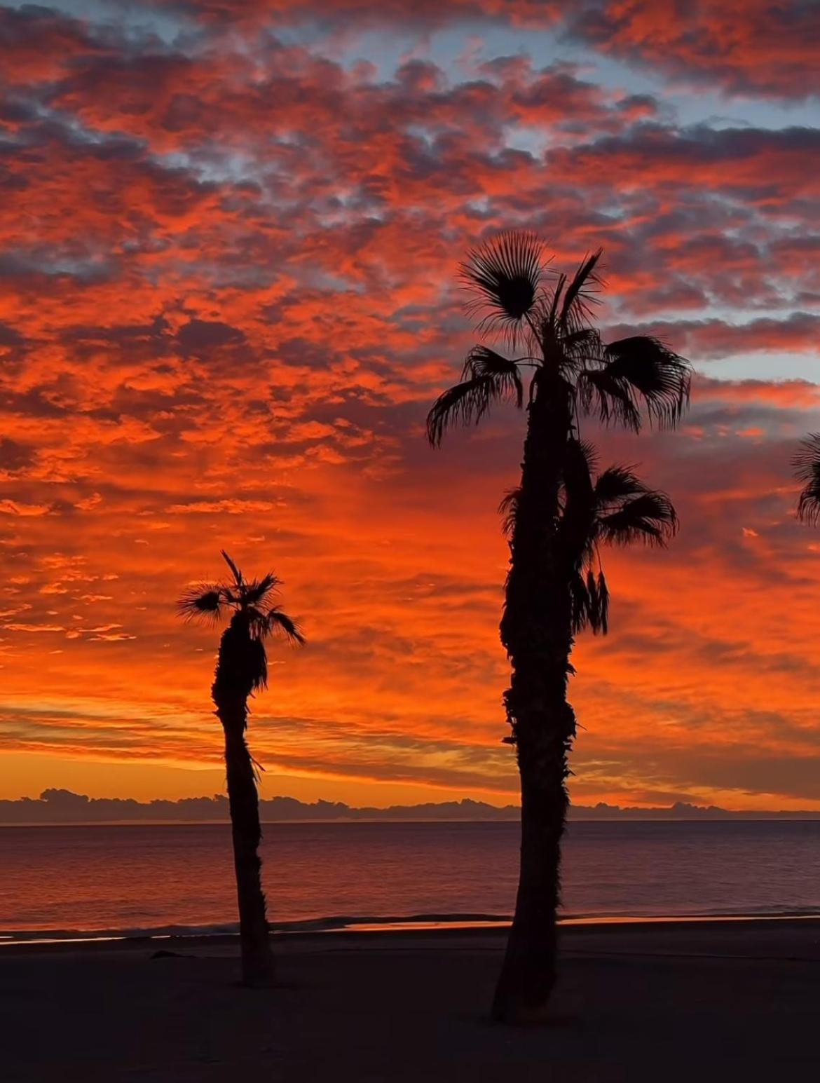 Stunning Sea View Apartment Alicante Bagian luar foto